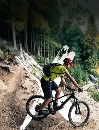 Mountain bikes - built for off-road terrain and durability