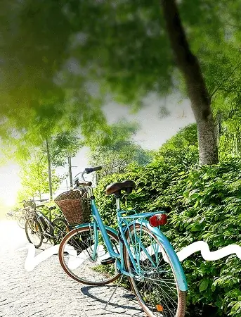 Town bikes - comfortable and practical for urban cycling